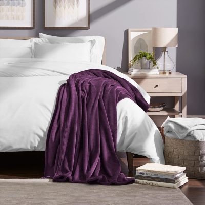 Bare Home Ultra Soft Microplush Velvet Blanket, (Twin/Twin XL, Plum)