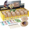 Dig a Dozen Dino Egg Dig Kit - Easter Egg Dinosaur Toys