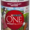 Purina ONE SmartBlend Canned Wet Dog Food, Gravy, Beef & Barley 13oz