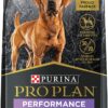 Purina Pro Plan Sport, Energy & Vitality Support, High Protein 30/20 Dry Dog Food, Turkey Duck 6lb