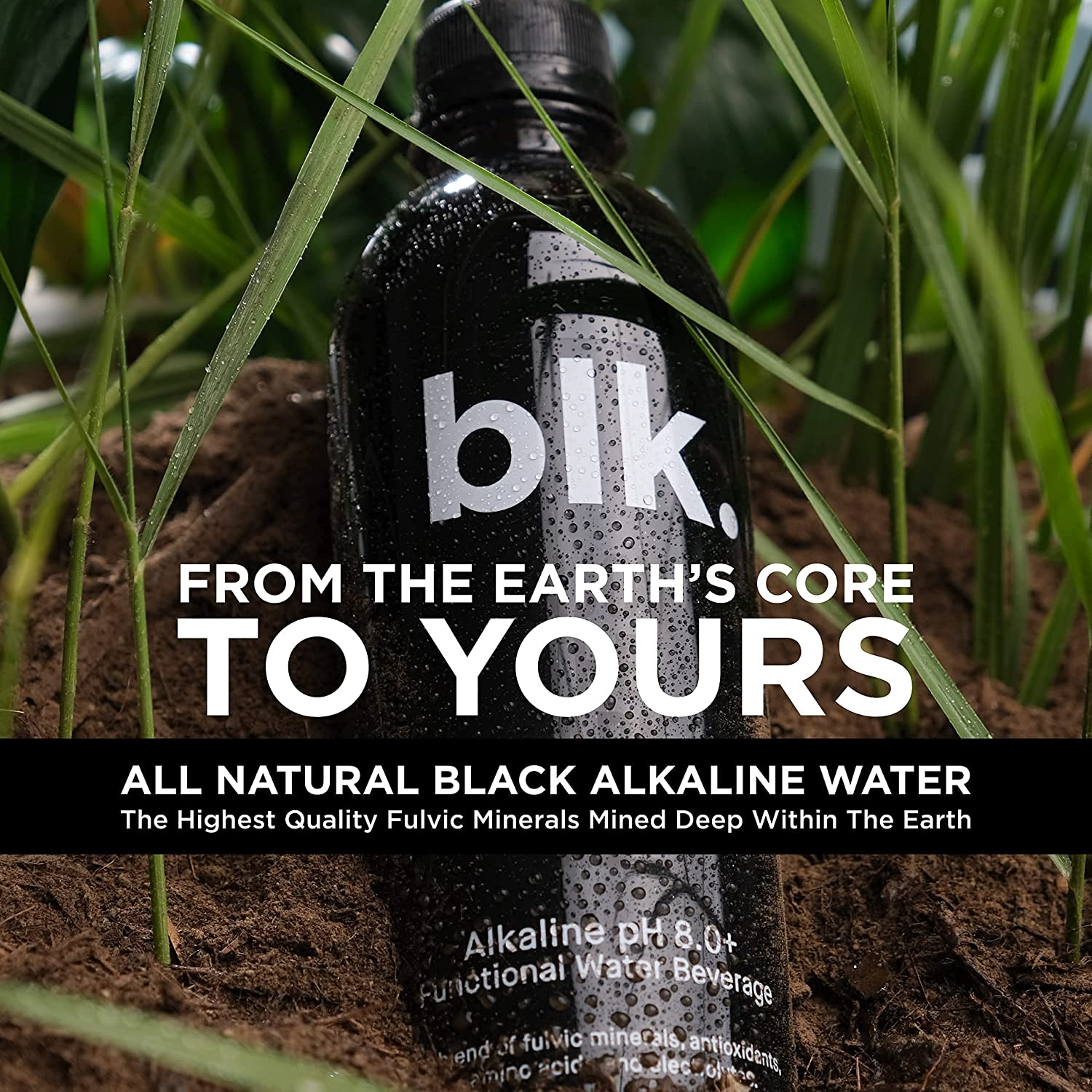 blk. Natural Mineral Alkaline Water, 16.9 oz. (500 mL), 12 Pack, 8 pH Water,  Bio 