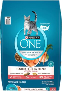 Purina ONE Tender Selects Blend Adult Dry Cat Food, Salmon