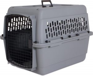 Aspen Pet Traditional Dog & Cat Carrier, Light Gray, 28-in