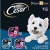 CESAR Adult Soft Wet Dog Food Filets in Gravy Variety Pack, Filet Mignon, New York Strip and Prime Rib Flavors, (24) 3.5 oz. Trays