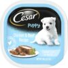 CESAR Puppy Soft Wet Dog Food Classic Loaf in sauce Chicken & Beef Recipe, 3.5 oz. Pack of 24 Easy Peel Trays