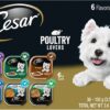 CESAR Soft Wet Dog Food Classic Loaf in Sauce Steak and Chicken Lovers Variety Pack, 6 Flavours - 36 Count