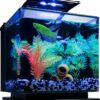 GloFish Betta Fish Aquarium Kit, 3-gal