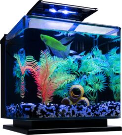 GloFish Betta Fish Aquarium Kit, 3-gal