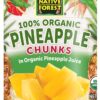 Native Forest Organic Pineapple Chunks, 14 Ounce Cans (Pack of 6)