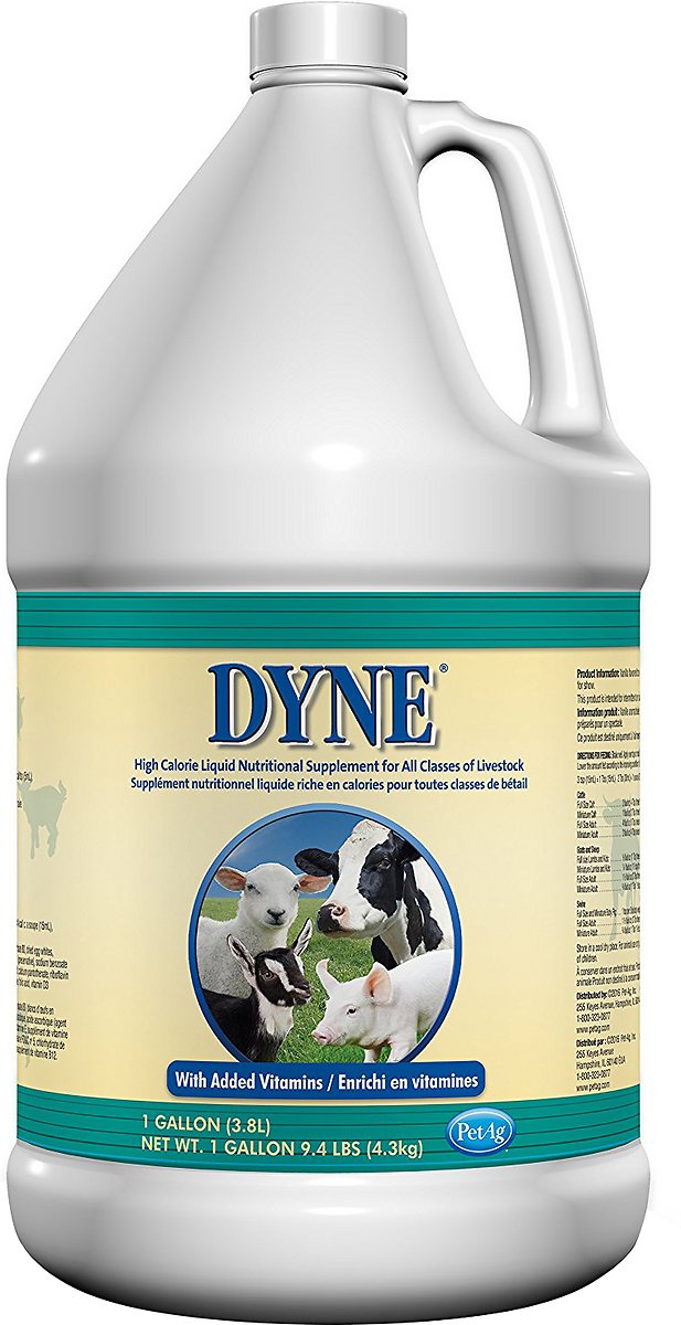 Dyne Calorie Livestock Supplement, 1-gallon bottle | Bigbigmart.com