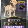 Purina Pro Plan High Protein Chicken and Rice Puppy Dry Dog Food 18 lb. Bag