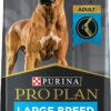 Purina Pro Plan High Protein, Digestive Health Large Breed Dry Dog Food, Chicken and Rice Formula - 47 lb. Bag