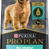 Purina Pro Plan High Protein Puppy Food DHA Lamb & Rice Formula - 34 lb. Bag