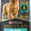 Purina Pro Plan High Protein Puppy Food DHA Lamb & Rice Formula - 6 lb. Bag
