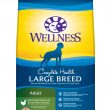 Wellness Large Breed Complete Health Adult Deboned Chicken & Brown Rice Recipe Dry Dog Food, 30 lb