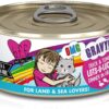 Weruva B.F.F. OMG - Best Feline Friend Oh My Gravy!, Lots-O-Luck! with Duck & Tuna in Gravy Cat Food, 5.5oz Can (Pack of 8)