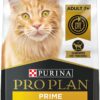 Purina Pro Plan Senior Dry Cat Food With Probiotics for Cats, Chicken and Rice Formula - 5.5 lb. Bag