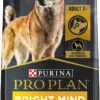 Purina Pro Plan Senior Dry Dog Food With Probiotics for Dogs, Bright Mind 7+ Chicken and Rice Formula - 5 lb. Bag