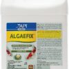 API Pond Algaefix Algae Control Solution, 1-Gallon
