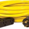 Champion 25ft Generator Cord, L5-30P to (3) 5-15R