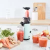 DASH Deluxe Compact Masticating Slow Juicer, Easy to Clean Cold Press Juicer with Brush, Pulp Measuring Cup, Frozen Attachment and Juice Recipe Guide - Aqua