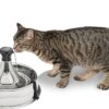 Drinkwell 360 Stainless Steel Pet Fountain 128 Ounce (3.8 Liter)