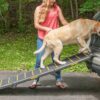 Pet Gear Reflective Extra Wide Foldable Dog Car Ramp, Tri-fold