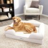 PetFusion Ultimate Lounge Memory Foam Bolster Cat & Dog Bed w/Removable Cover