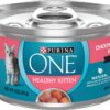 Purina ONE Grain Free, Natural Pate Wet Kitten Food, Healthy Kitten Chicken and Salmon Recipe - (24) 3 oz. Pull-Top Cans