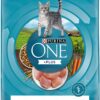 Purina ONE Natural Dry Cat Food for Hairball Control, +PLUS Hairball Formula - 7 lb. Bag