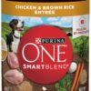 Purina ONE SmartBlend Classic Ground Chicken & Brown Rice Entree Adult Canned Wet Dog Food (12) 13 oz. Cans