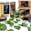 XYZReptiles Ball Python Snake Habitat 10 Gallon Terrarium Starter Kit