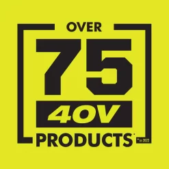 RYOBI RYi300BG 40V 300-Watt Power Source (Tool Only)