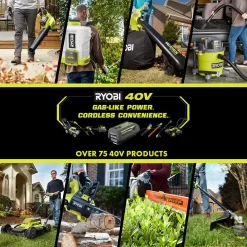 RYOBI RYi300BG 40V 300-Watt Power Source (Tool Only)