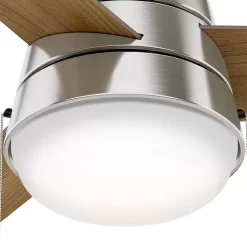 Hunter Fan Aker 36 inch Ceiling Fan with Light Kit, Brushed Nickel