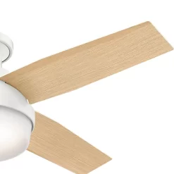 Hunter Fan Dempsey Low Profile 44'' Ceiling Fan with Light Kit