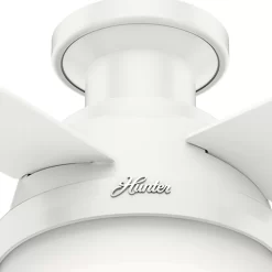 Hunter Fan Dempsey Low Profile 44 inch Ceiling Fan with Light Kit