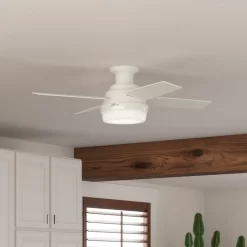 Hunter Fan Dempsey Low Profile 44 inch Ceiling Fan with Light Kit