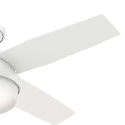 Hunter Fan Dempsey Low Profile 44 inch Ceiling Fan with Light Kit