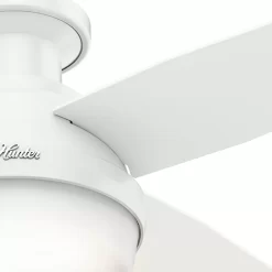 Hunter Fan Dempsey Low Profile 44 inch Ceiling Fan with Light Kit