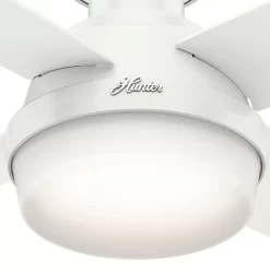 Hunter Fan Dempsey Low Profile 44 inch Ceiling Fan with Light Kit