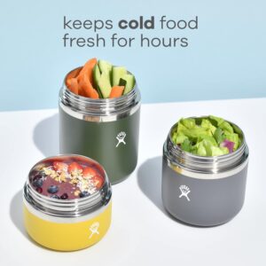 28 oz. Insulated Food Jar