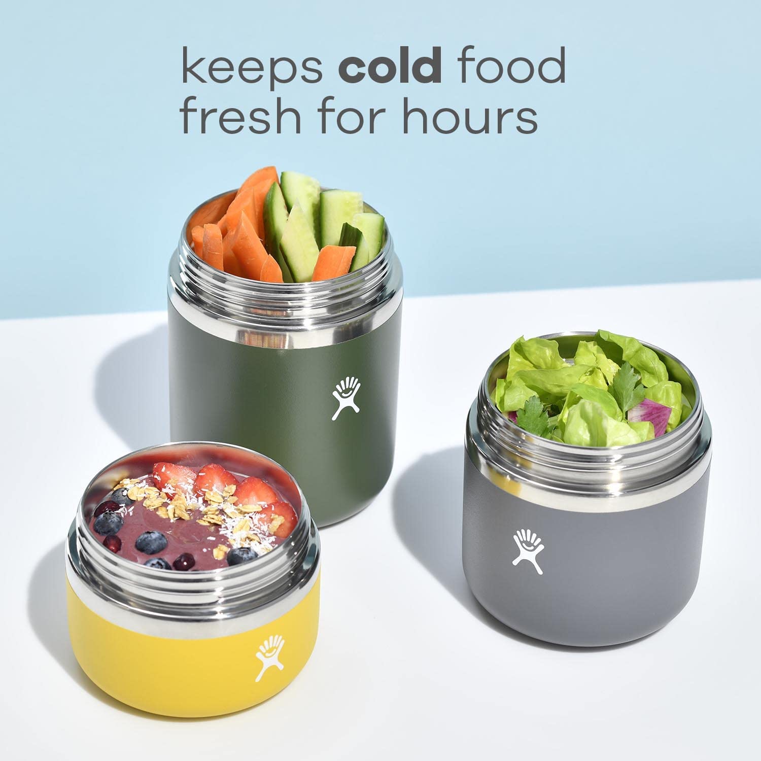 20 oz Food Jar
