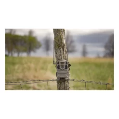 Tactacam Reveal X Gen 2 Cellular Trail Camera