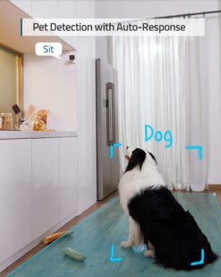 eufy security Solo IndoorCam C24