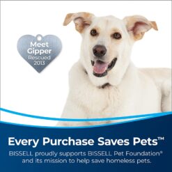 BISSELL Featherweight PowerBrush Vacuum, 2773A