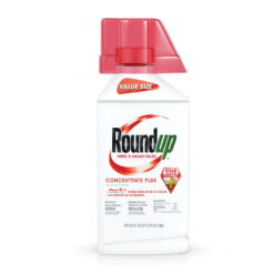 Roundup Weed & Grass Killer Concentrate Plus Value Size, 36.8 oz.