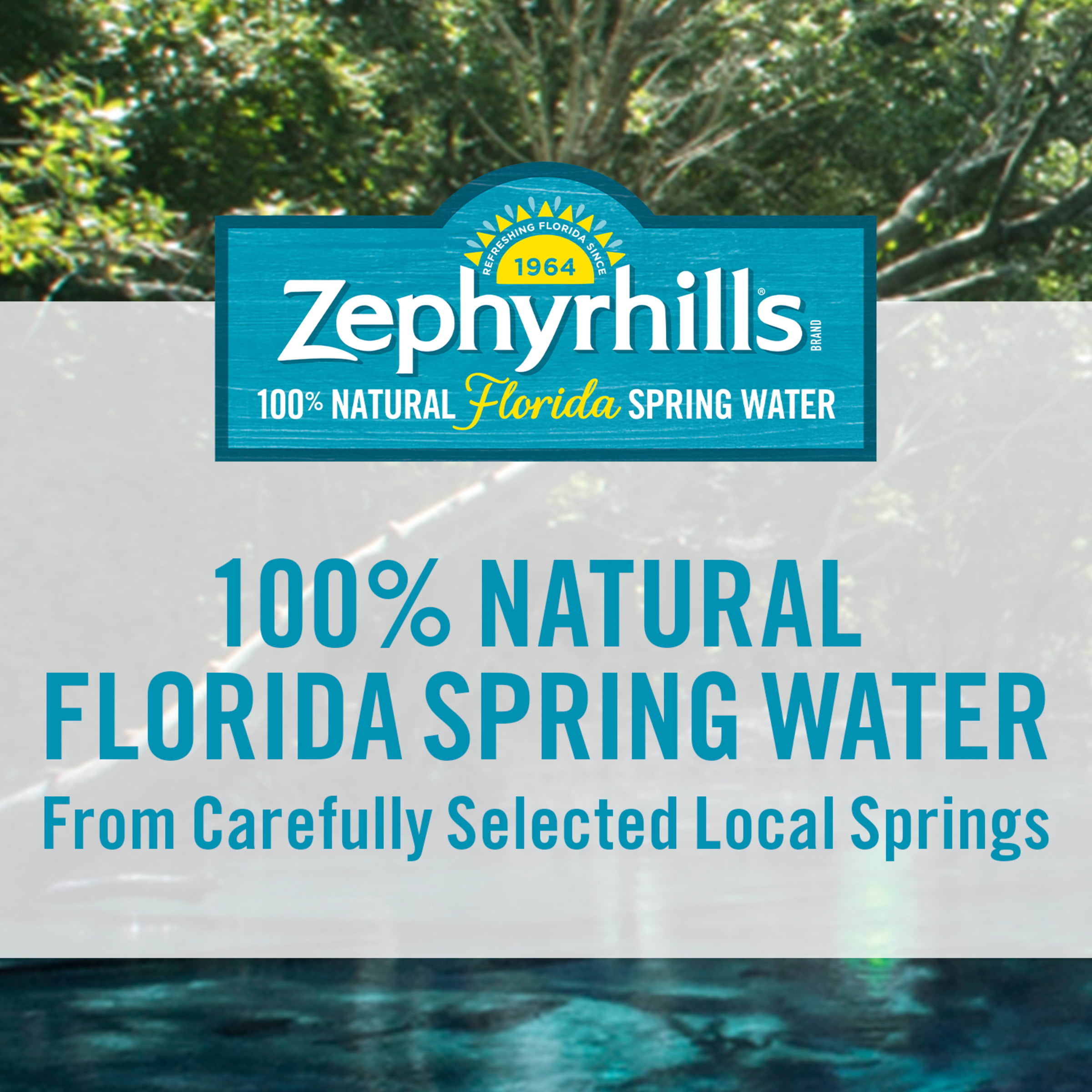 Zephyrhills Brand 100% Natural Spring Water, 8-ounce mini plastic bottles  (Total of 48)