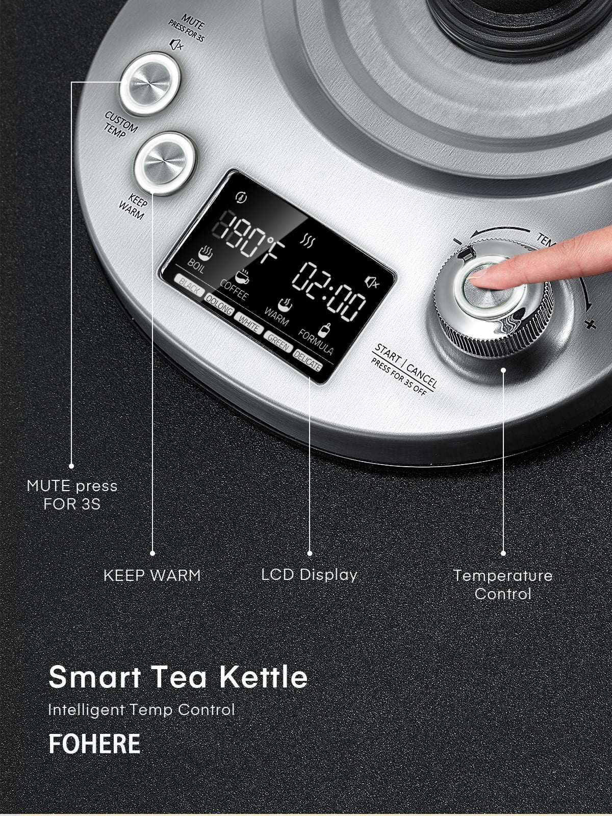 AICOOK Electric Tea Kettle, Electric Kettle Temperature Control