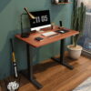 FlexiSpot 42" x 24" Home Office Electric Height Adjustable Standing Desk Black Frame and Mahogany Top